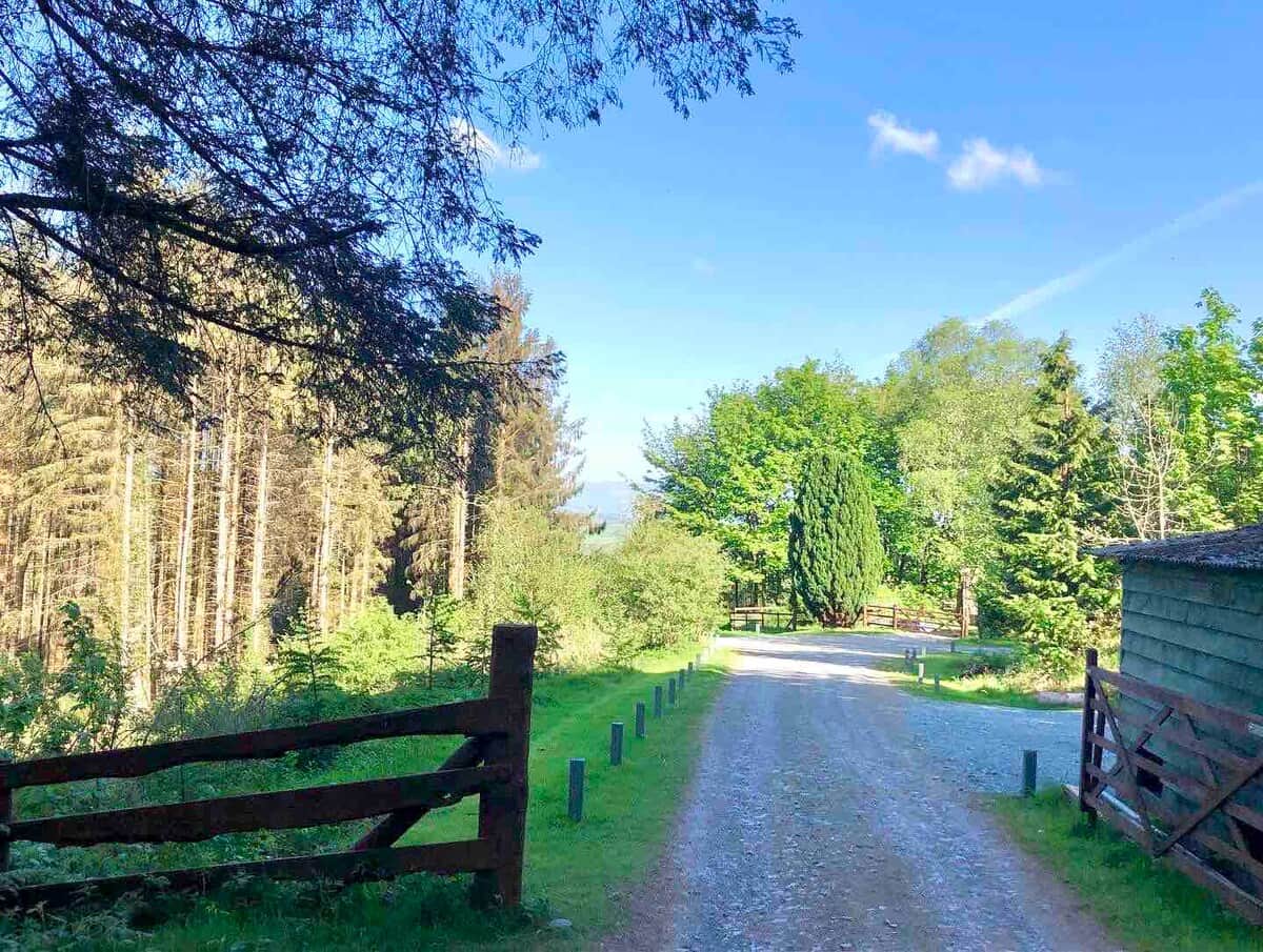 Our entrance from the forest.. opening out to glorious views 