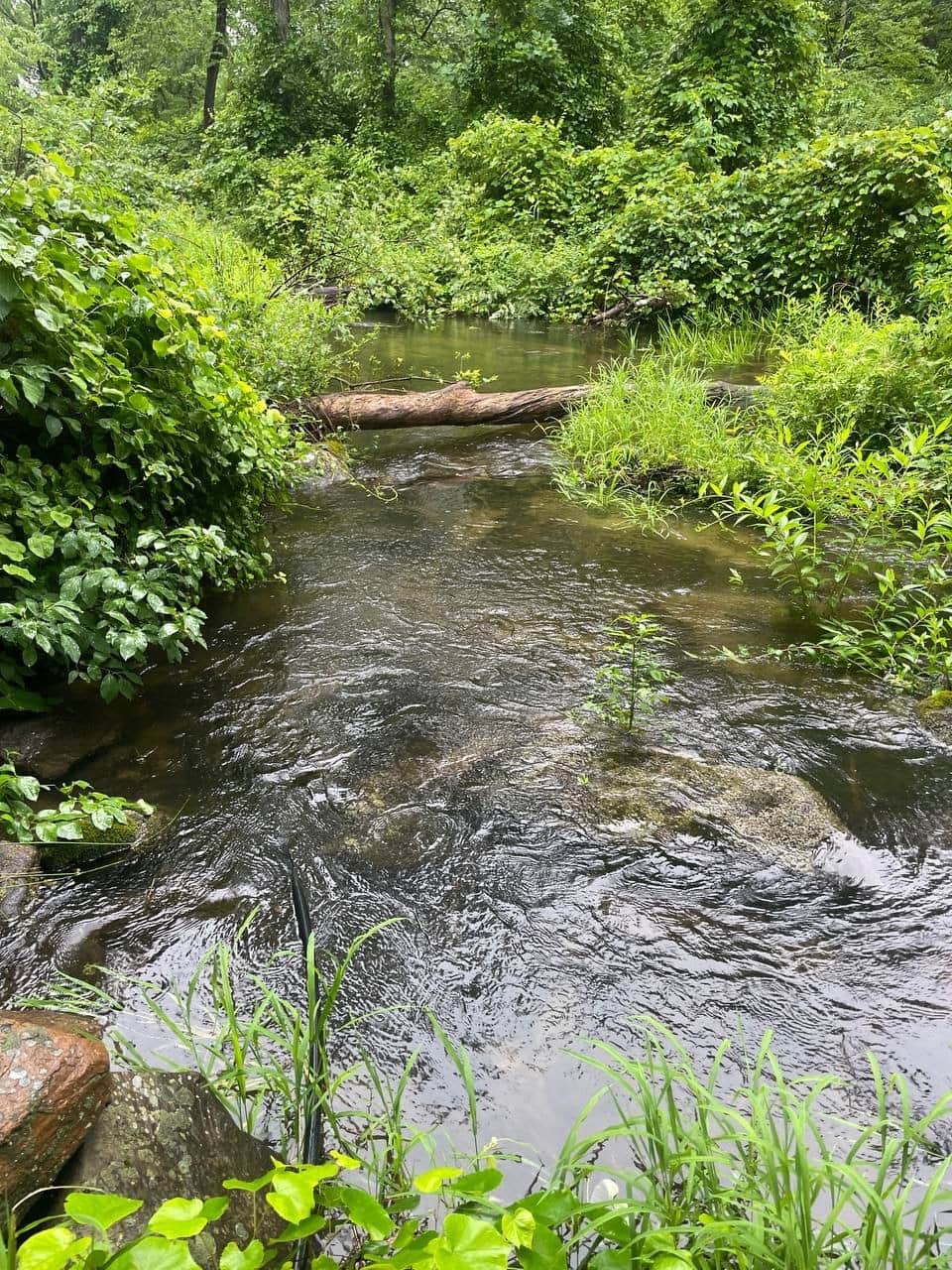 Culvers Creek 