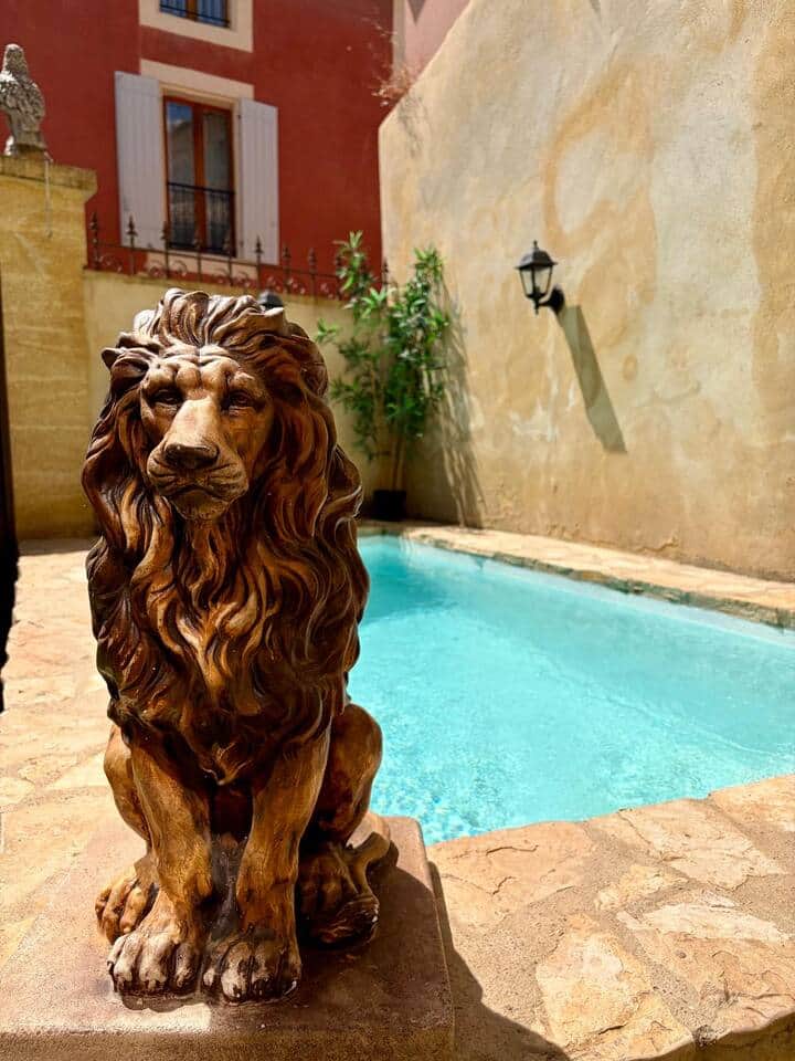Patio, bassin