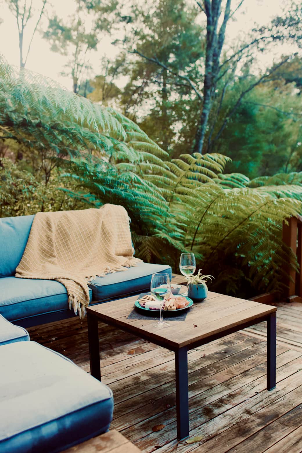Outdoor lounge among the tree ferns