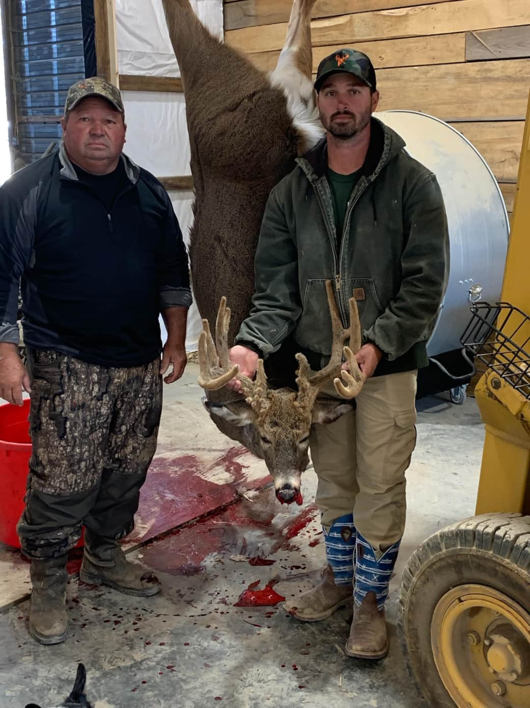 Deer 4