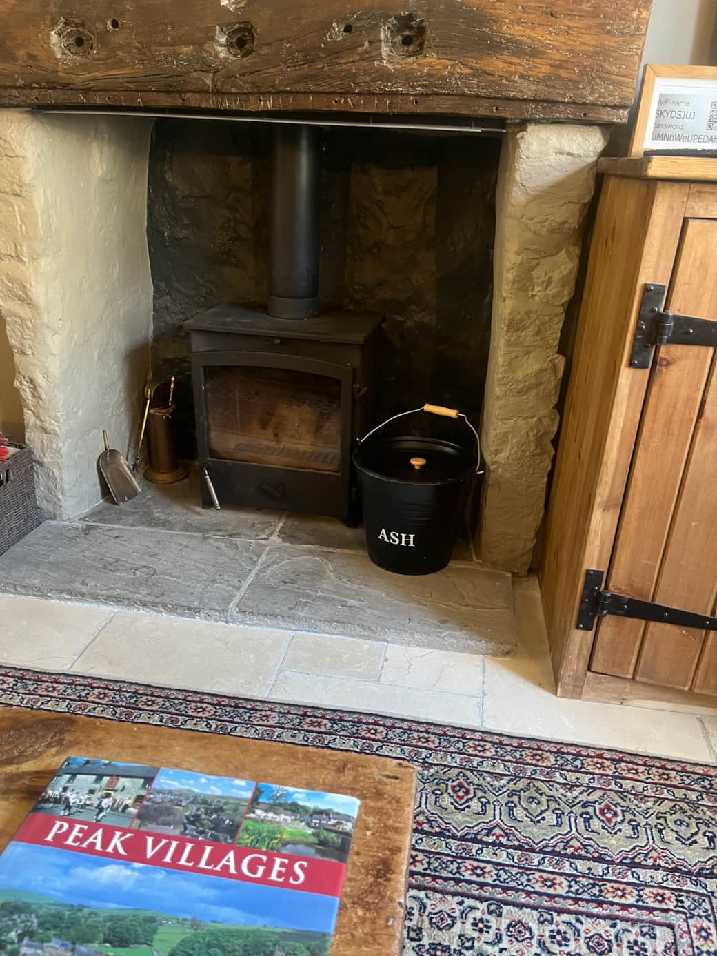 Wood Burner and logs