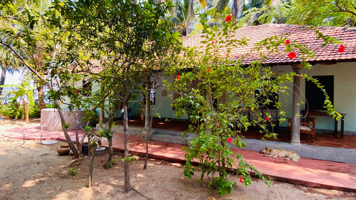 The Peacock House - Island Retreat, photo 23