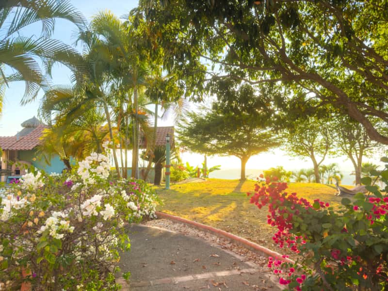 Cerrito Encantado full property with jungle views in Altavista, Nayarit