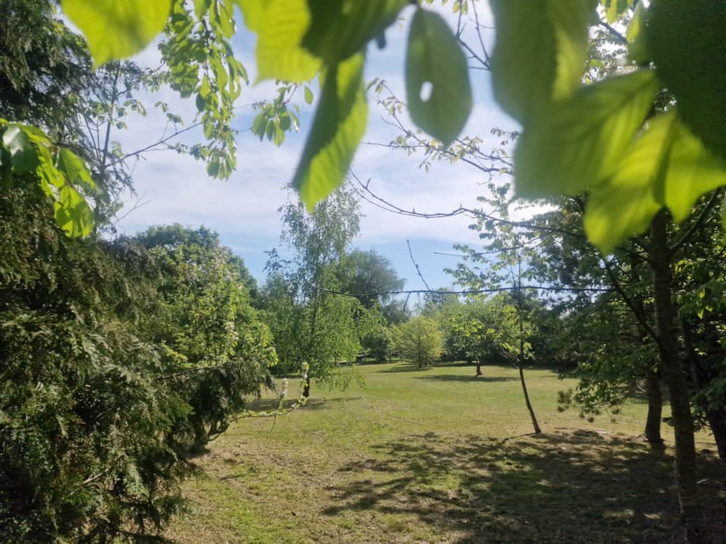 The main lawn, spring