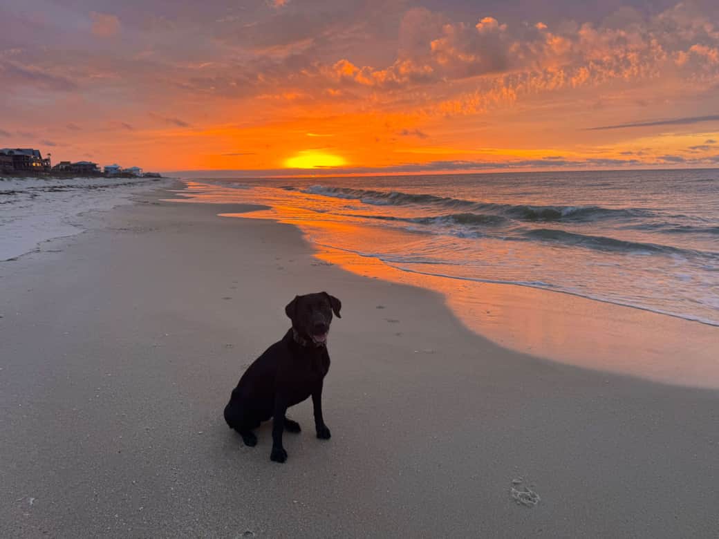 St. George Island- Beach Sunrise