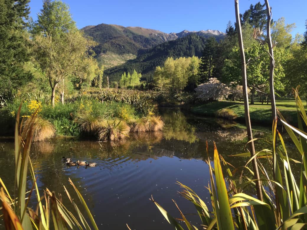 Woodland Ponds on nearby Woodland walk Woodland Ponds on nearby Woodland walk