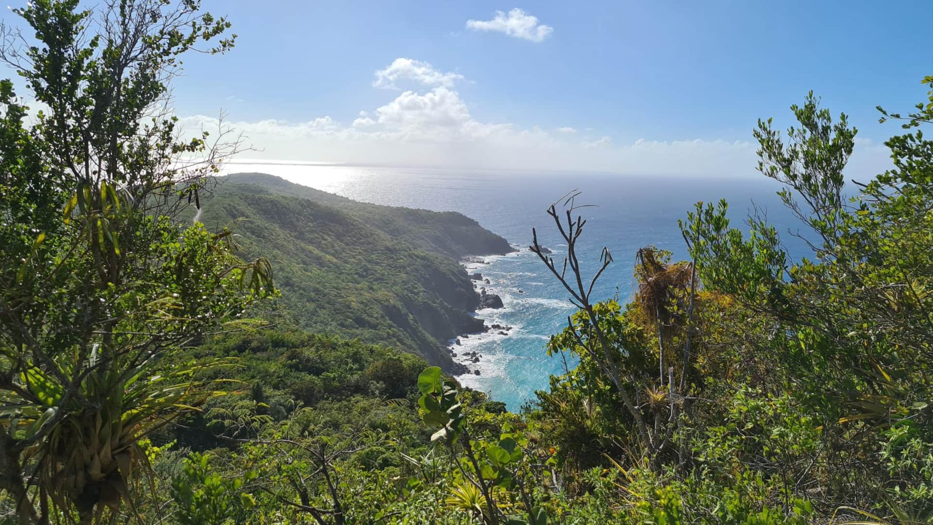 Partie Nord de la Désirade