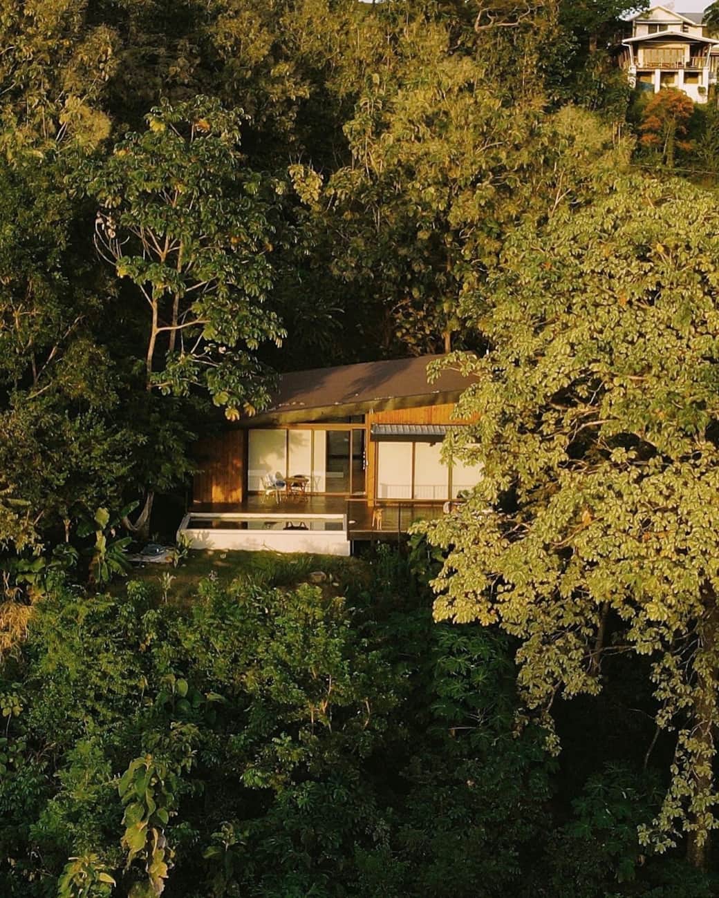 Casa Samambaia