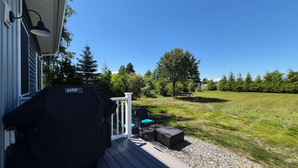 Gas grill