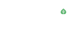 Rauszeit
