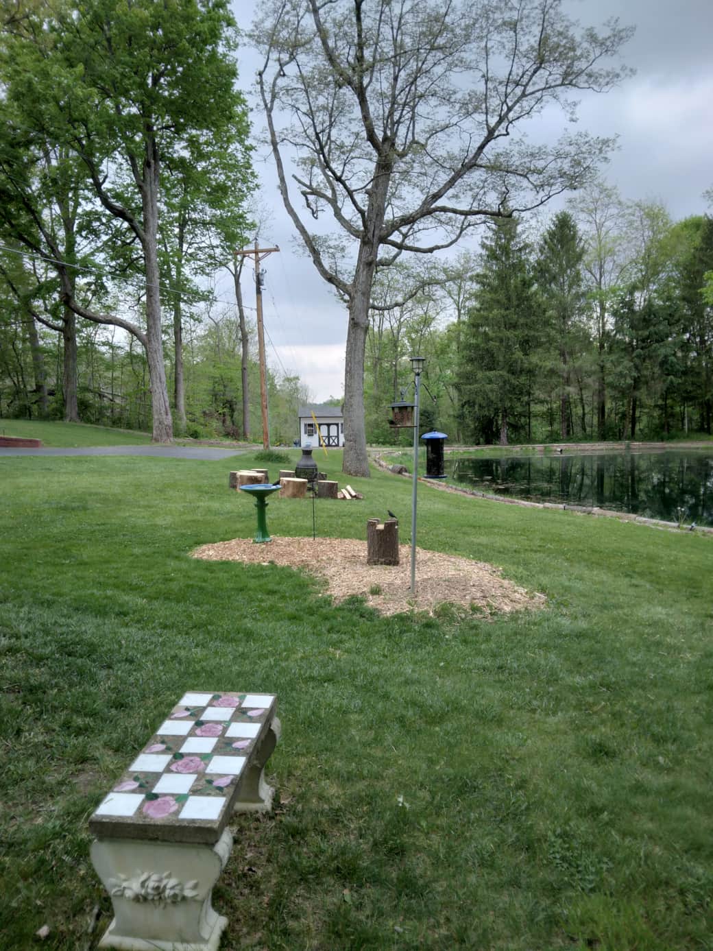 Outdoor firepit, bird feeders and baths Outdoor firepit, bird feeders and baths