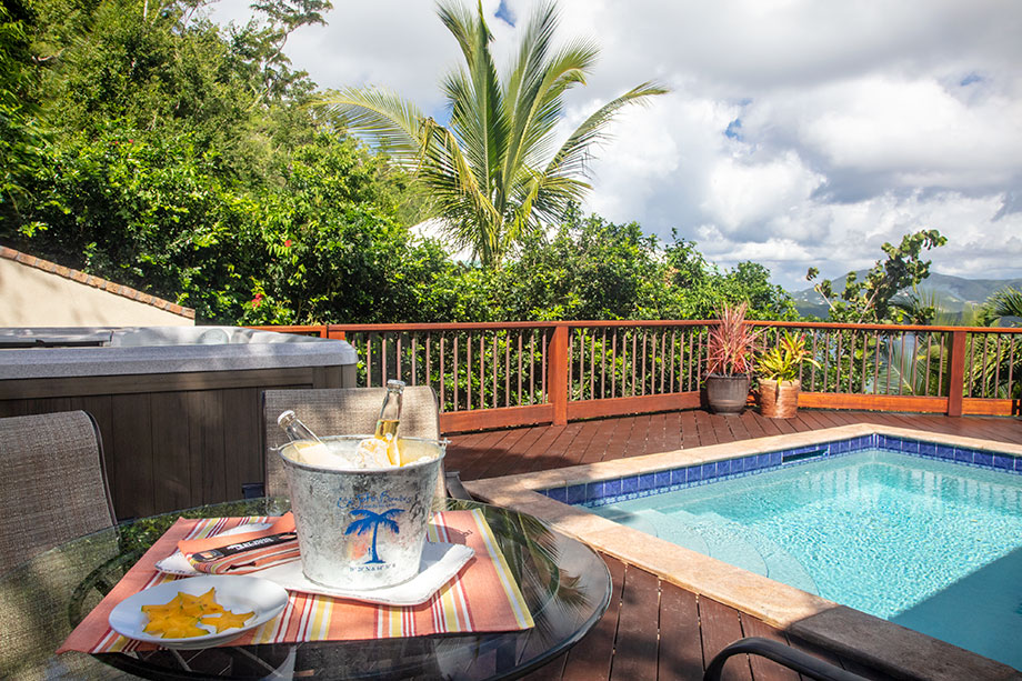 Grab a cold one and relax in the pool and hot tub