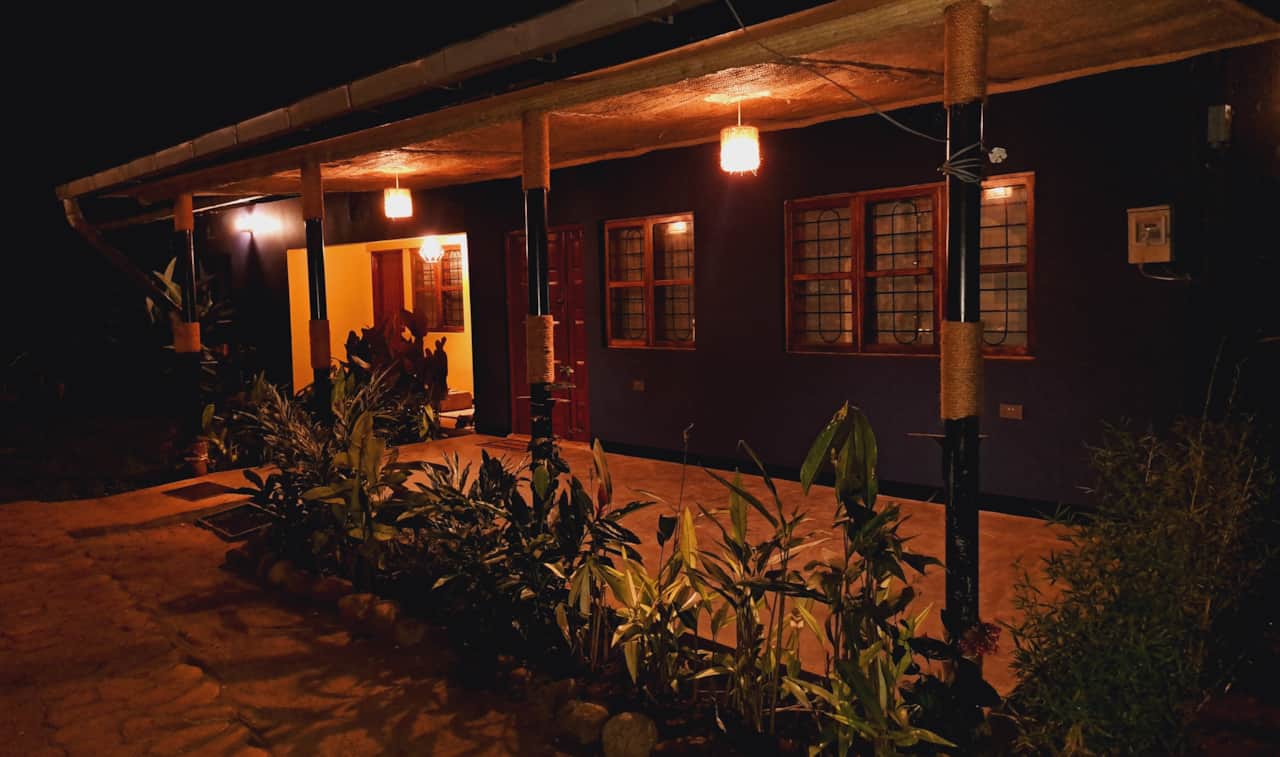 Blue Cactus Shanty - Your first view at night
