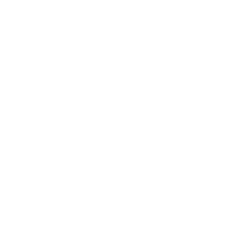 VILLA HOLZI