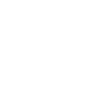 VILLA HOLZI