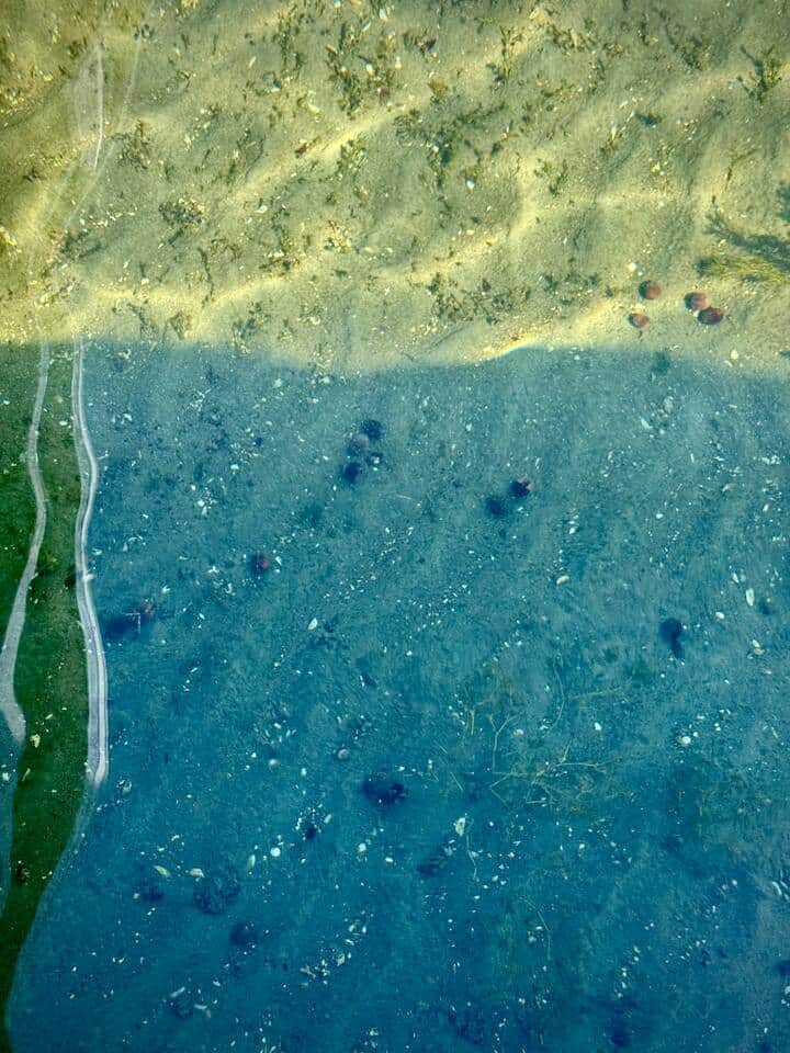 Sandy Bottom Shoreline with Shallow Waters-Great for wading and water play!