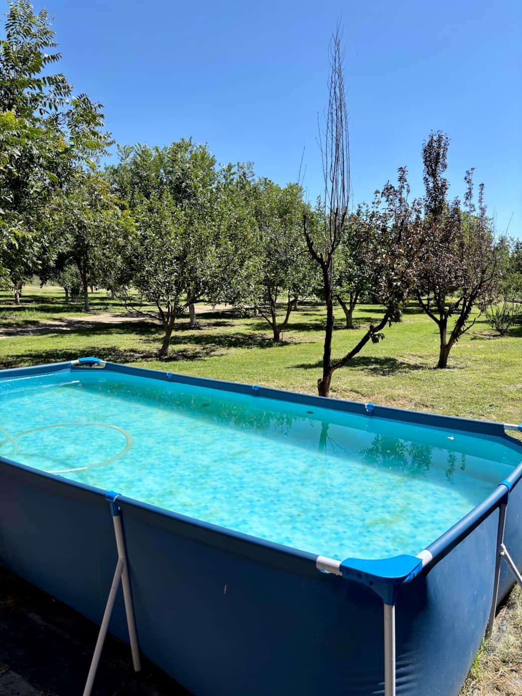 Alberca pequeña