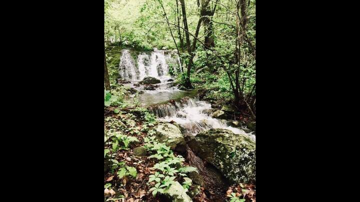 Reconnect with the wild. Explore the rugged beauty & find solace at this serene waterfall. 