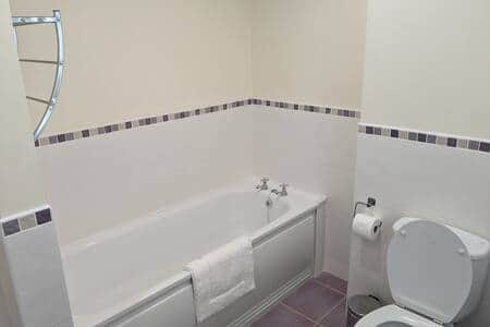 Main Bathroom and Shower