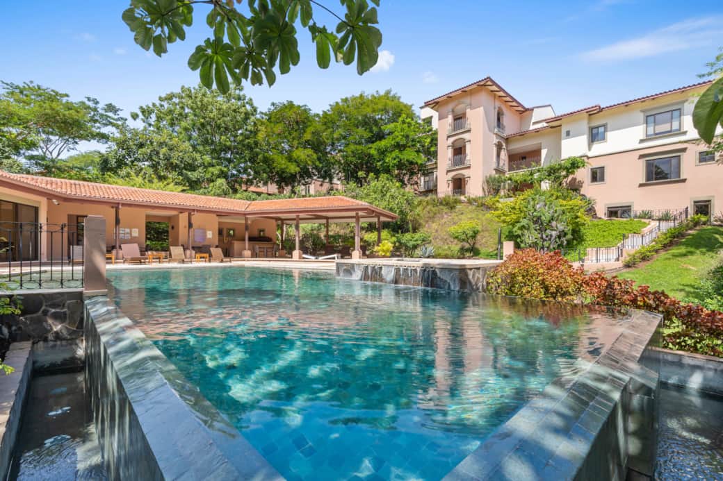 2 Jobo15guanamedia51 small