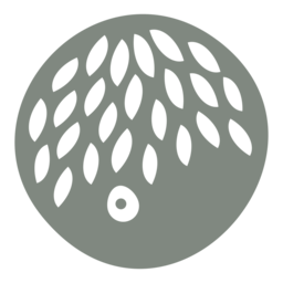 The Olive Jar