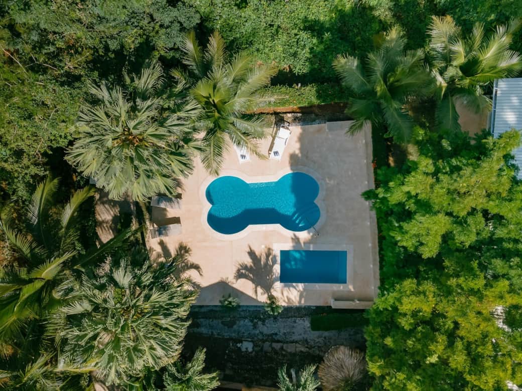 Bird's eye view of our pools surrounded by the lush gardens & jungle. Bird's eye view of our pools surrounded by the lush gardens & jungle.