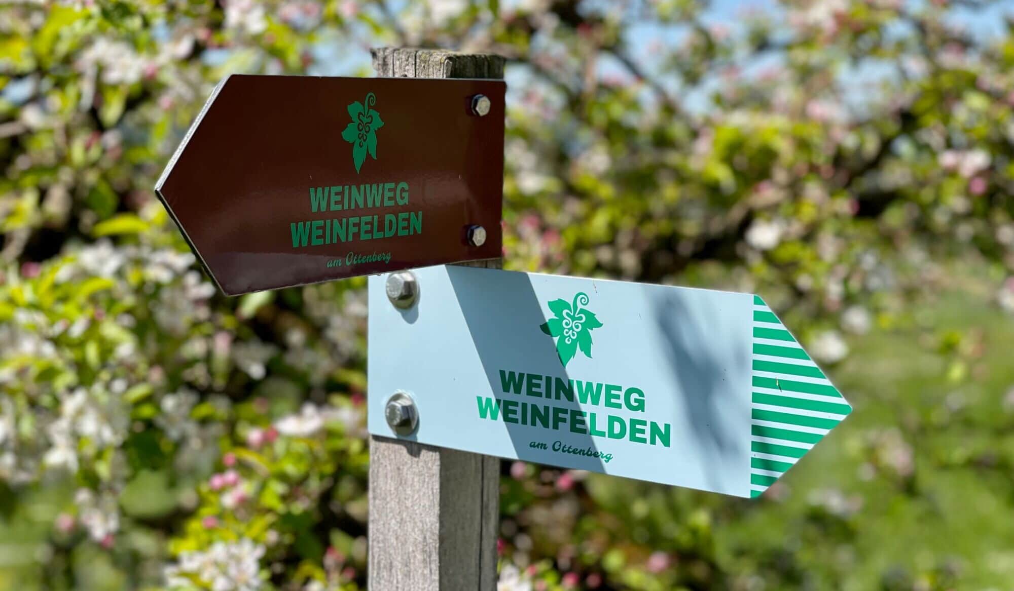 Weinweg Weinfelden.jpeg