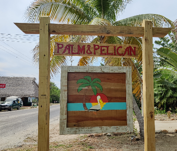 Palm & Pelican