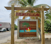 Palm & Pelican