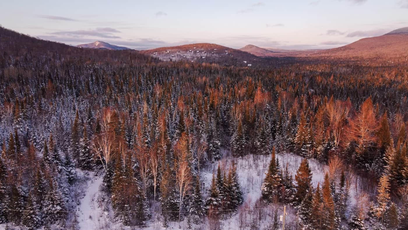 Coucher de soleil sur la forêt enneigée