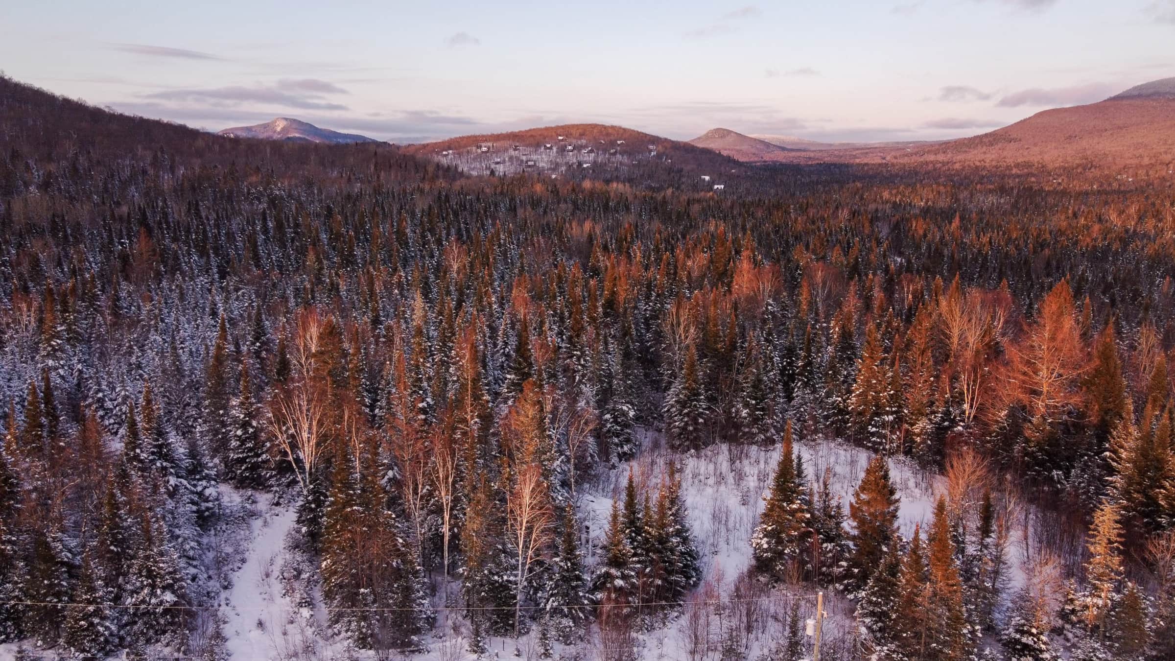 Coucher de soleil sur la forêt enneigée autour du chalet Caragana
