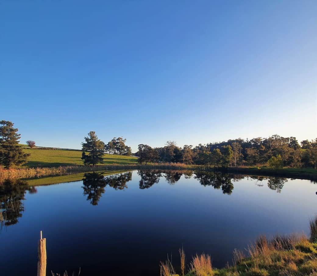You're able to take a stroll around the dam on our property.