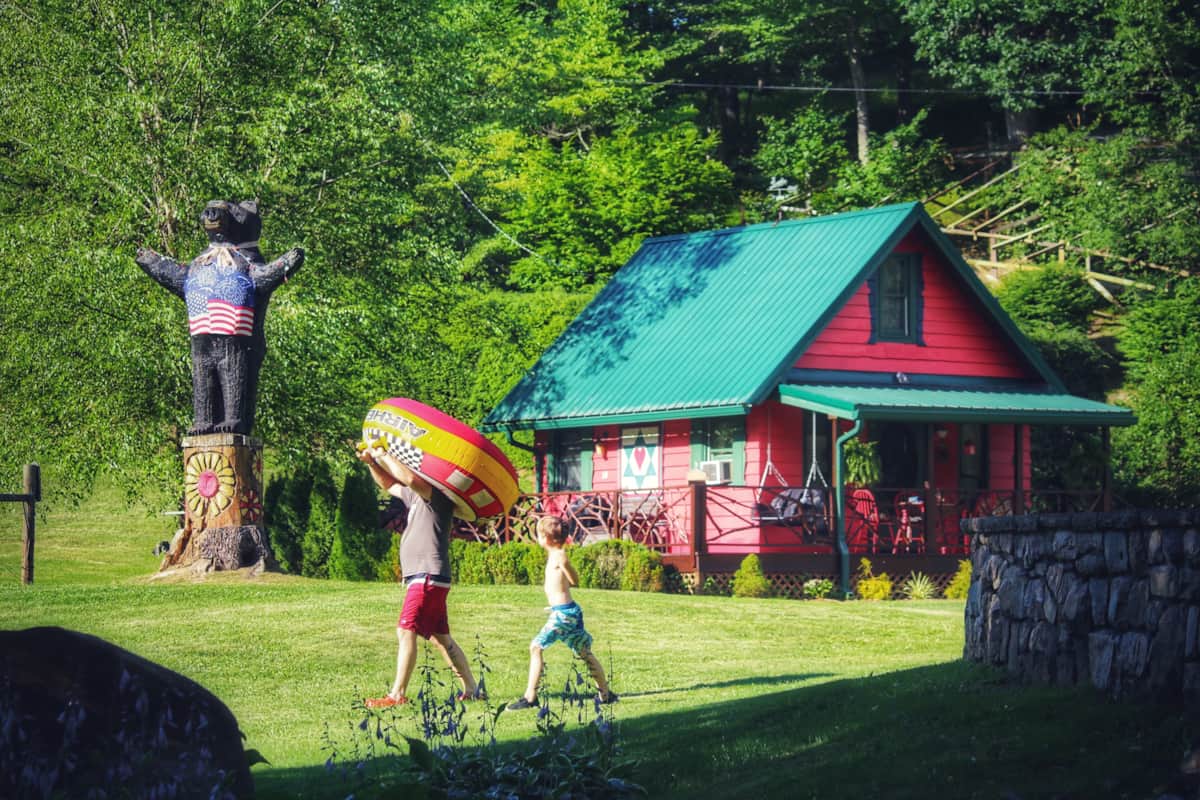 Petting Zoo and Pickleball plus Hot Tub Ziplines Slide - Cabin in