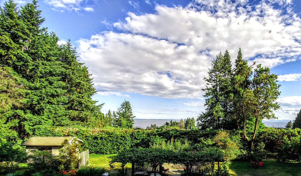 The grounds