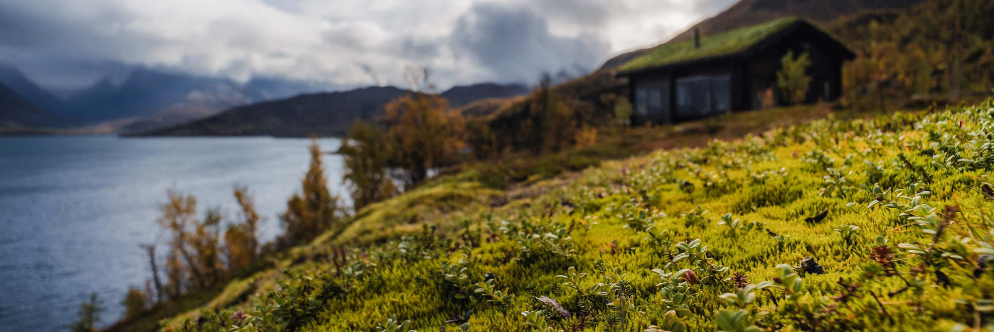 Chalet above the fjord seen over the turf