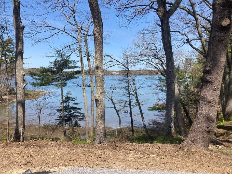 The cottage's peaceful waterfront The cottage's peaceful waterfront