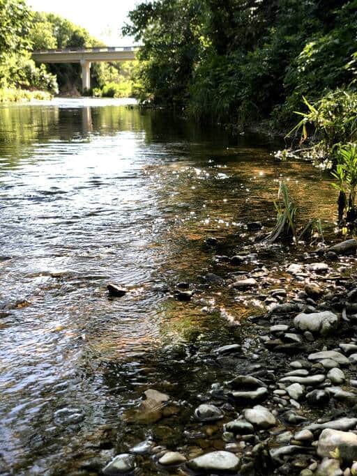 Brushy Creek