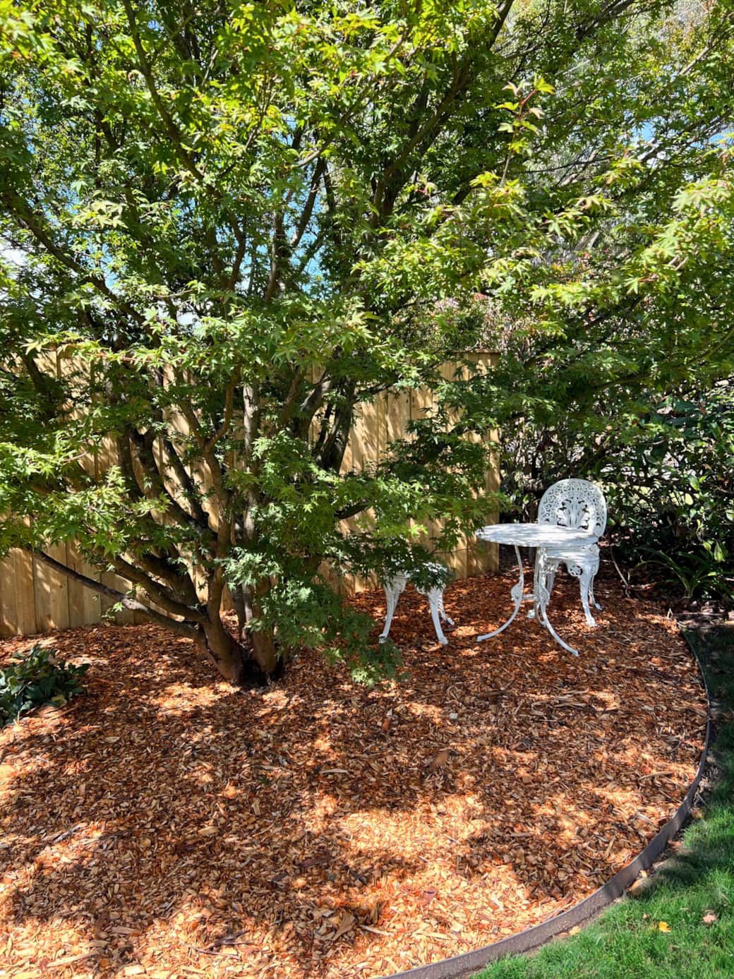 Garden in Spring