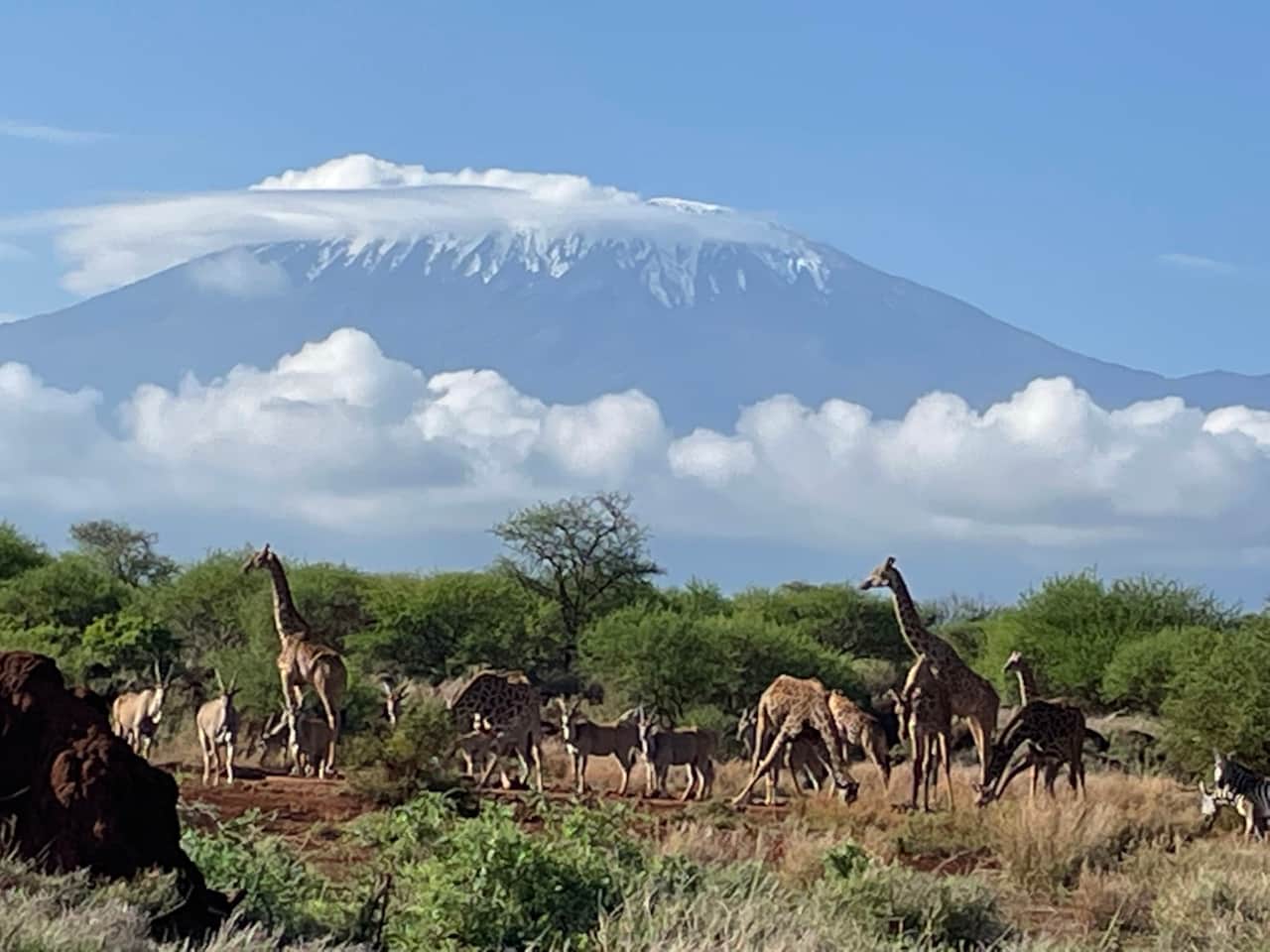 Many visitors to our upper camp waterhole