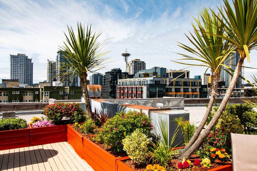 Great Rooftop Garden and City Views