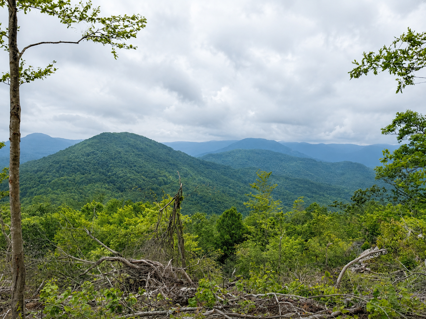 Mountian Views