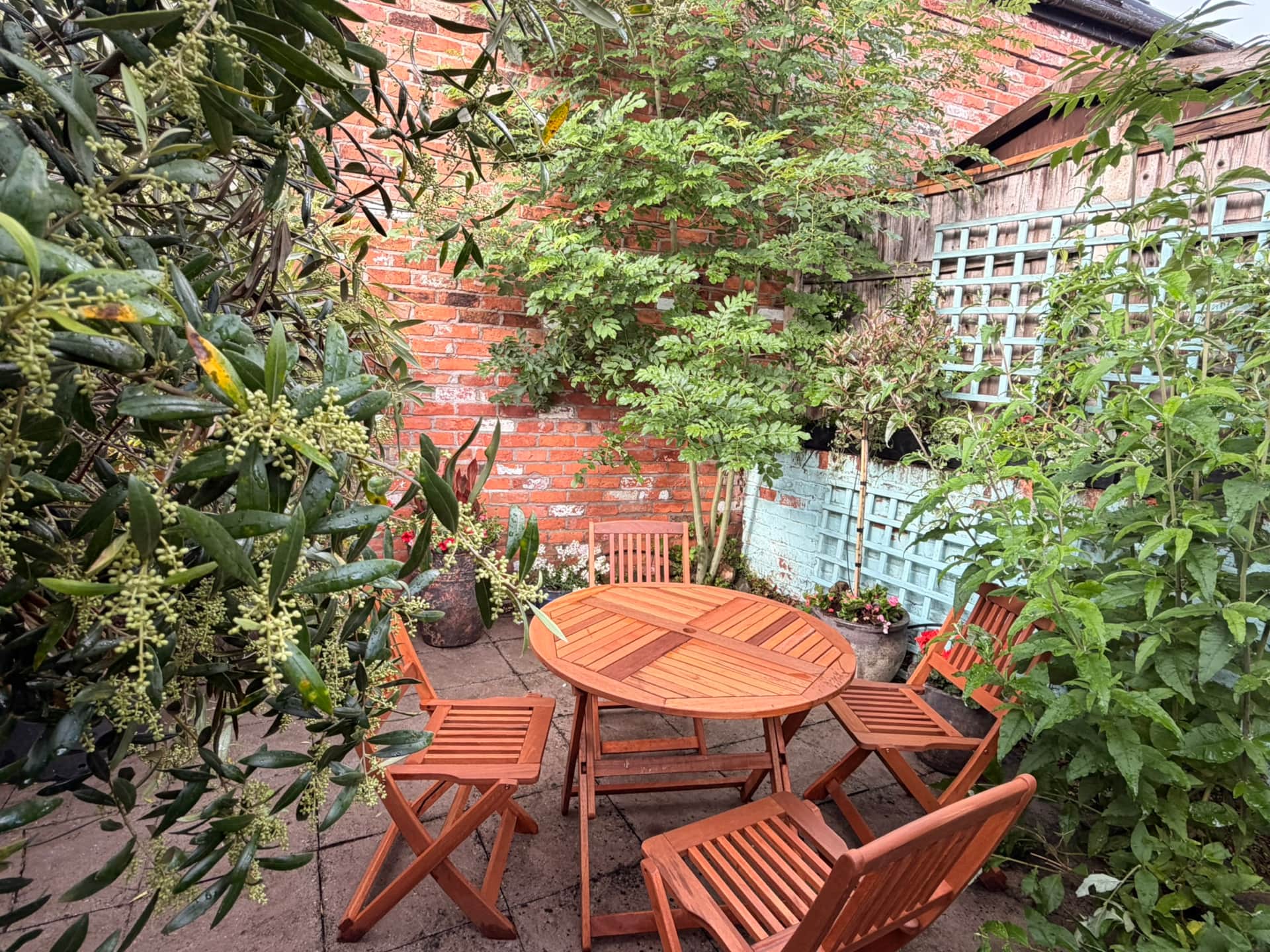 Seating area surrounded by plants in the courtyard garden