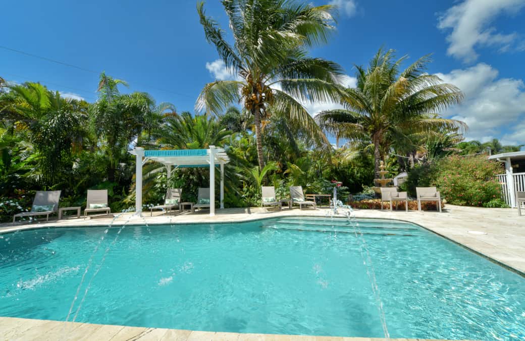 Saltwater Heated Pool with Coconut Palms