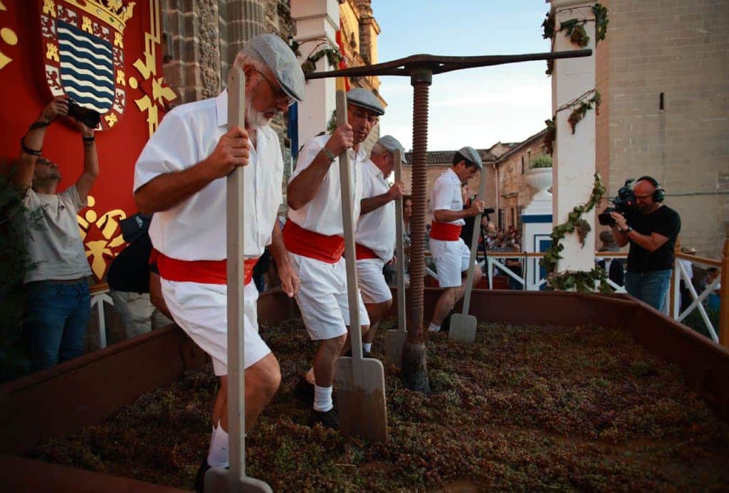 Fiestas De LA Vendimia Jerez - Apartamentos Turísticos A. Parra