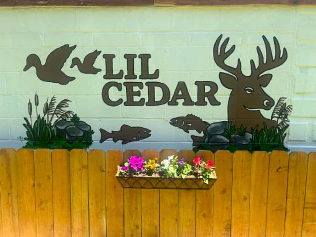 Lil. Cedar