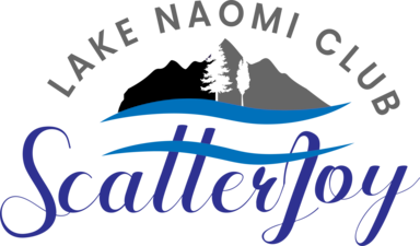 www.lakenaomilakefront.com