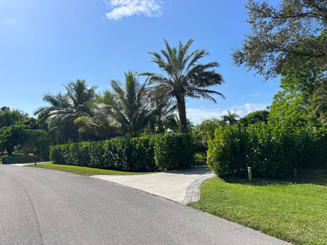 Driveway