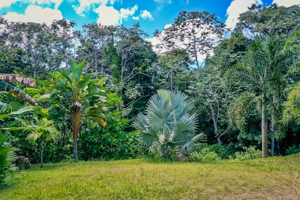 The White Palm - Tropical Cottage-012