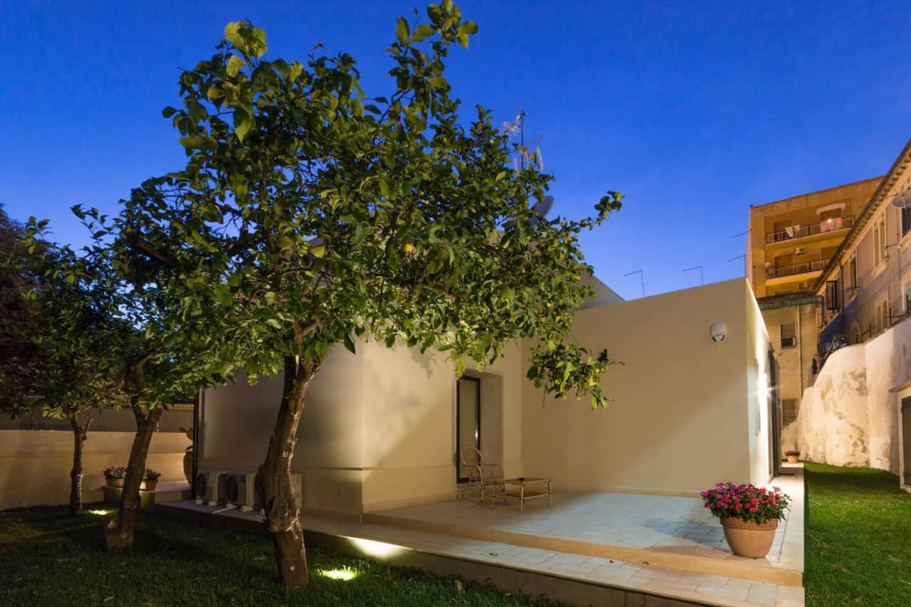 Our fruit trees in the garden